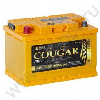 Аккумулятор COUGAR Power 60 А/Ч 600А (прямая полярность)