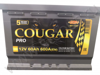 Аккумулятор автомобильный 60Ah обратная 600А Power EVRO